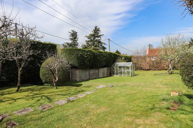 Yew Tree Cottage, Hastings Road, Battle photo 4