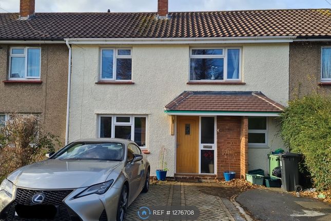 Thumbnail Terraced house to rent in Mendip Crescent, Bristol