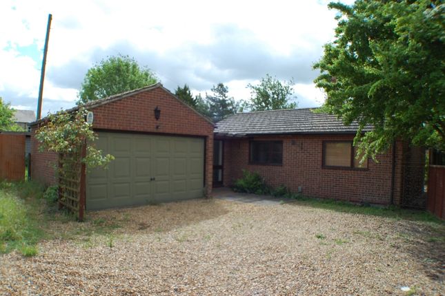 Thumbnail Detached bungalow to rent in Natal Road, Cambridge