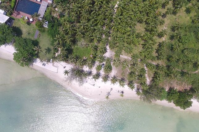 Land for sale in Ko Samui, Ko Samui, Thailand