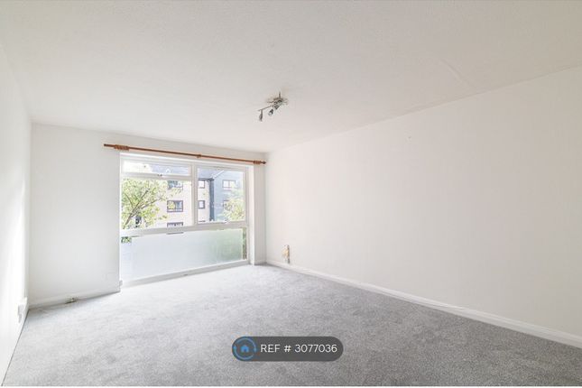 Sycamore Grove, New Malden photo 2