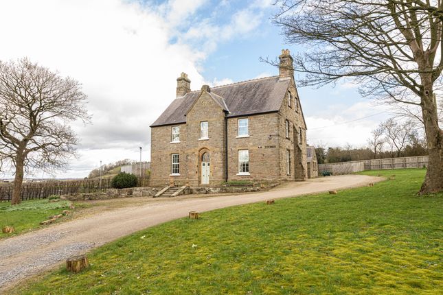 Thumbnail Detached house for sale in Grey Gables, Old Quarrington, Durham, County Durham