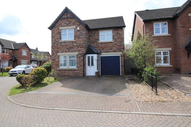 Thumbnail Semi-detached house to rent in 3 Fulmar Place, Carlisle