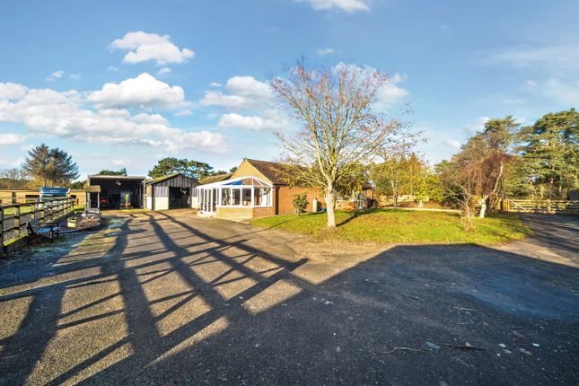 BRACKENSIDE STABLES, Kirkby Lane, Kirkby-on-Bain photo 2