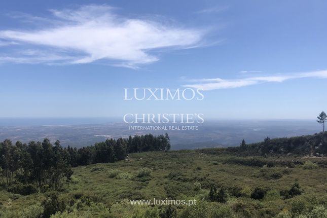 Land for sale in Monchique, 8550, Portugal