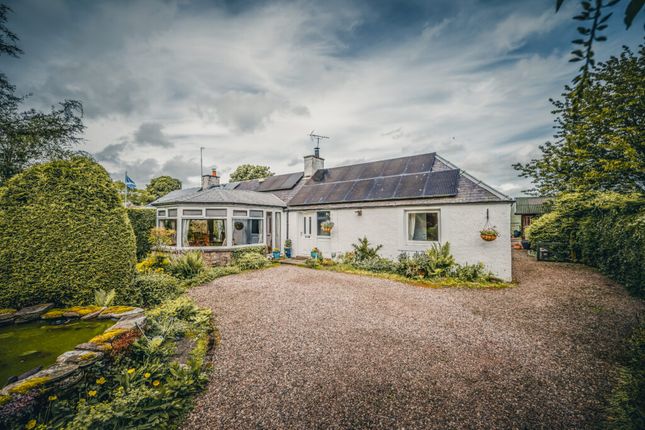 Thumbnail Cottage for sale in Guthrie, Forfar