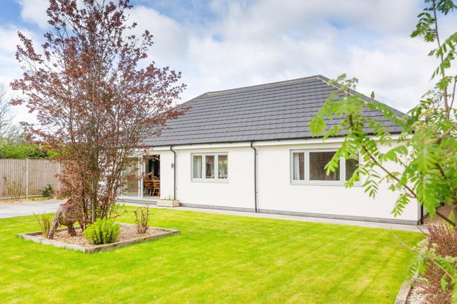 Detached bungalow for sale in Harvey Close, Thorpe St. Andrew, Norwich