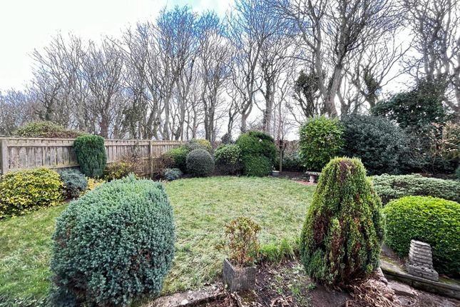 Semi-detached bungalow to rent in The Coppice, Seaton Sluice, Whitley Bay