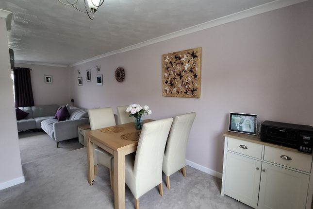 Living-Dining Room