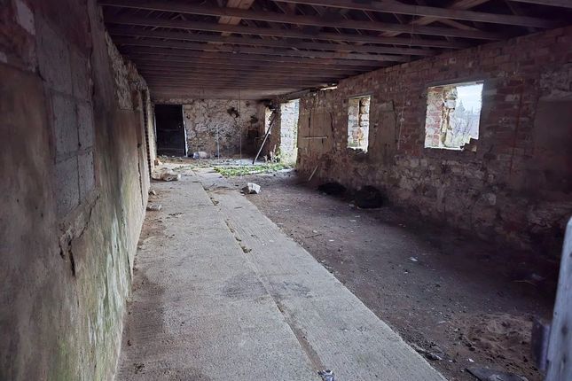 Broom Dykes, Houghton Bank, Darlington photo 4