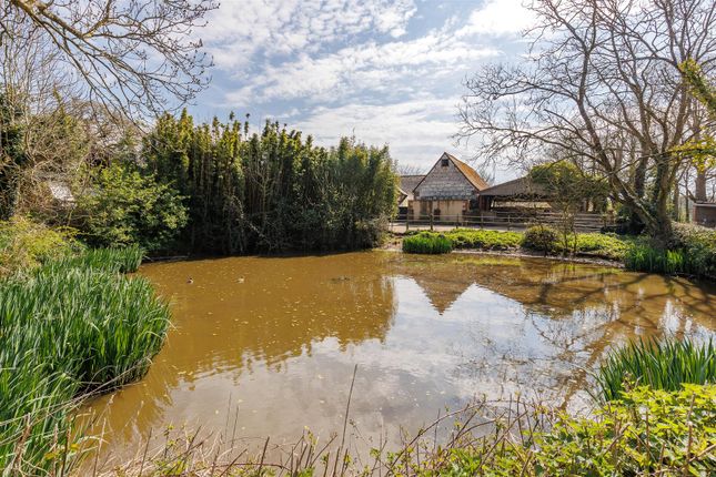 Pond