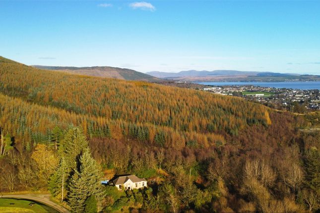 Watermans Cottage, Dunoon photo 3