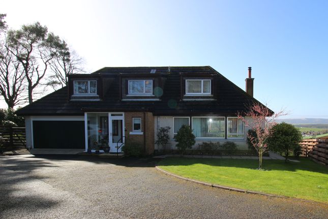 Thumbnail Detached house for sale in Beechgrove, Lockerbie