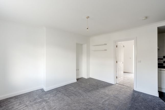 Garden Flat, 25 Newbury Road, Bristol photo 4