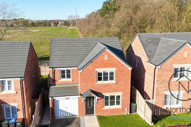 Birch Way, Newton Aycliffe