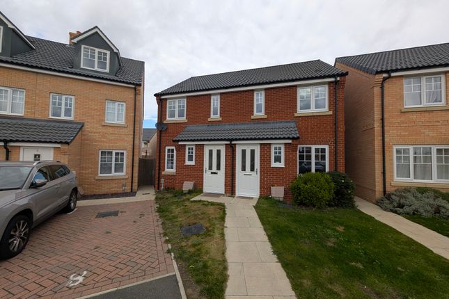 Pxl_20251028_132355954