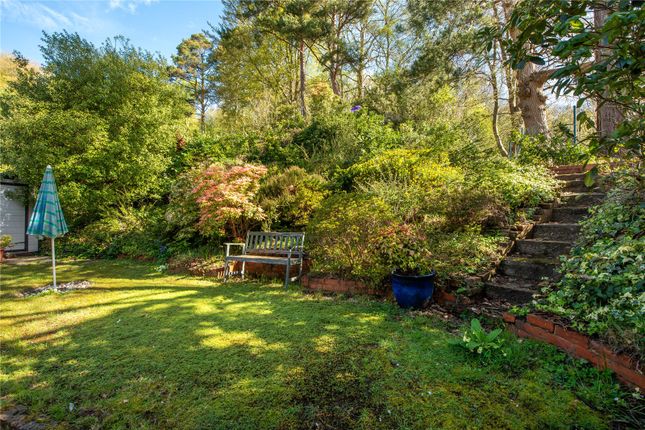 7, Denfield, Surrey photo 4