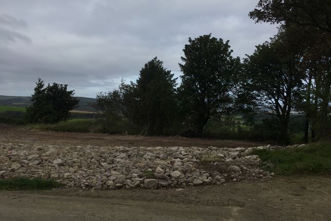 Land for sale in Birnie, Elgin, Moray, 8Rp