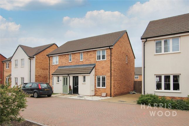 Thumbnail Semi-detached house for sale in Giraffe Row, Stanway, Colchester, Essex