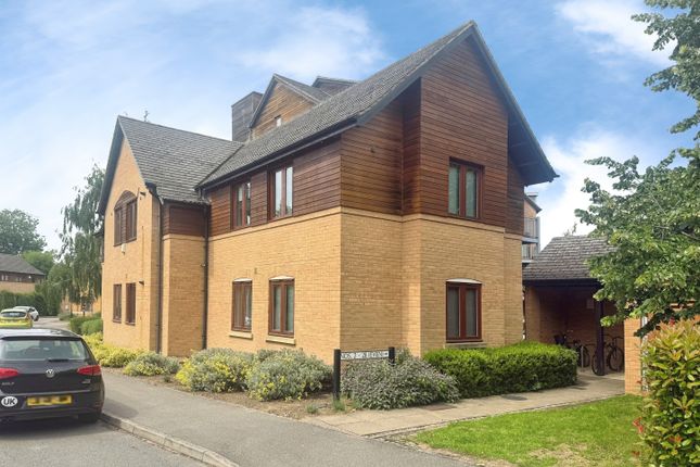 10, Cambridge photo 2