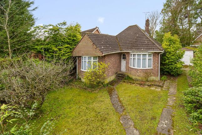 Thumbnail Detached bungalow for sale in Lightwater, Surrey
