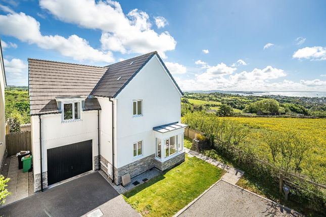 Thumbnail Detached house for sale in Victory Close, Madron, Penzance, Cornwall