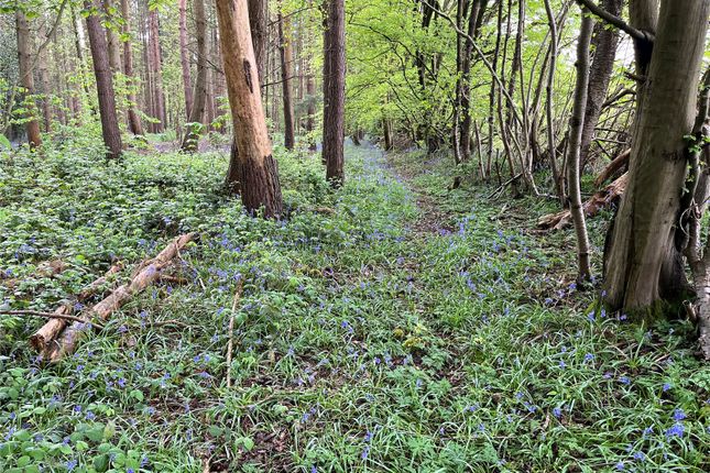 Thumbnail Land for sale in Moat Wood, East Hoathly, East Sussex