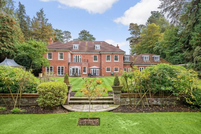 Thumbnail Detached house for sale in Larch Avenue, Ascot, Berkshire