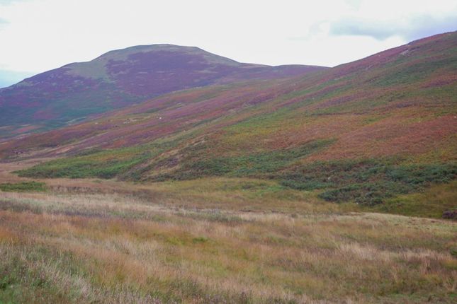 Thumbnail Land for sale in Land At Upper Kidston, Peebles