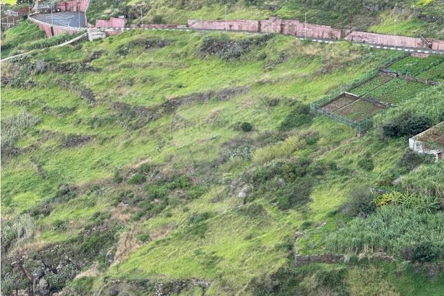 Thumbnail Land for sale in Quinta Grande, Câmara De Lobos, Ilha Da Madeira