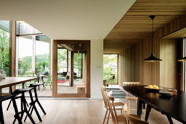 233370 - Throughshot.Png