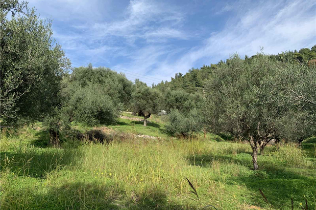 Land for sale in Nafpaktos, Aetolia Acarnania, West Greece, Greece