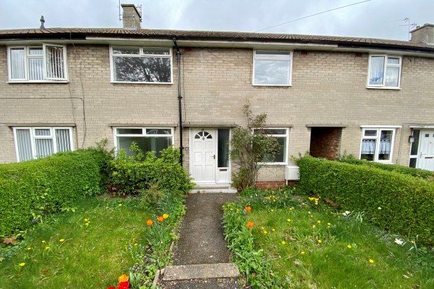 Thumbnail Terraced house to rent in Finchale Crescent, Darlington