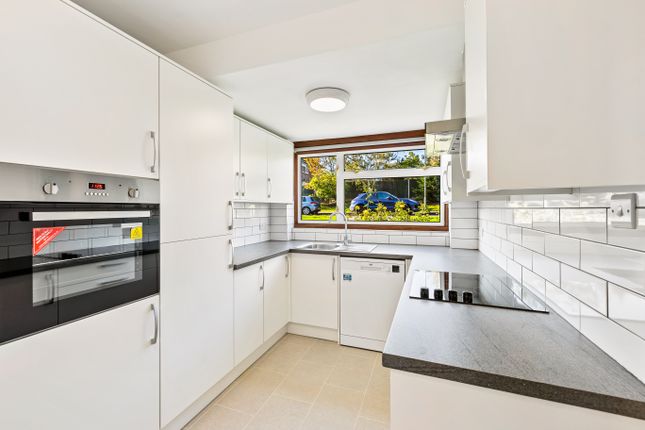 Kitchen 2.Jpg