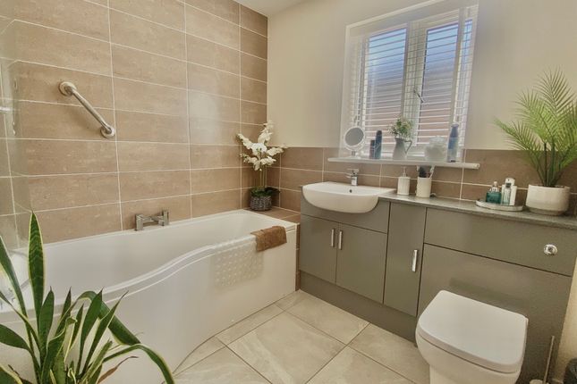 6, Magnolia Close, March photo 4