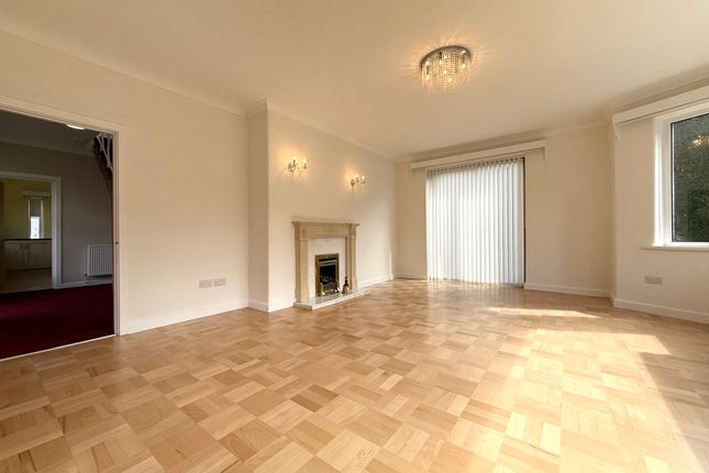 Belvedere,, Aberdare photo 4