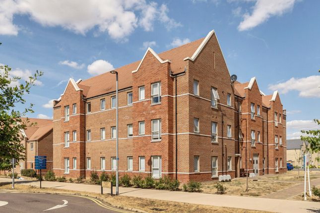 Henry Shuttlewood Drive, Chelmsford photo 3