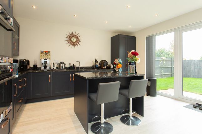 6, Hoplands Road, Canterbury photo 3