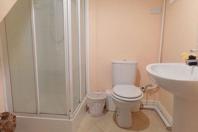 Basement Shower Room