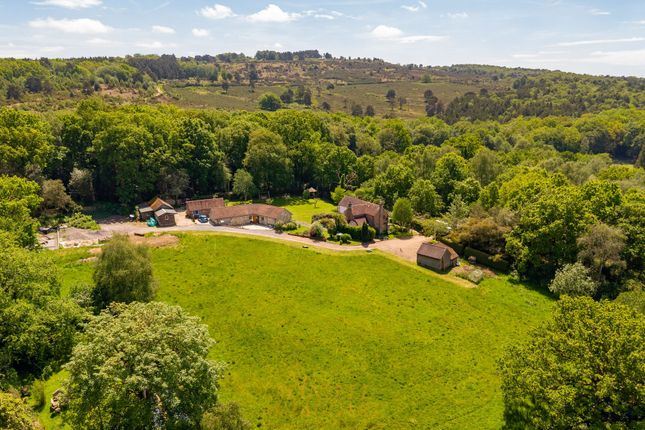 Bank Cottage, Hartfield photo 4