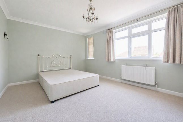 28, Chichester photo 5