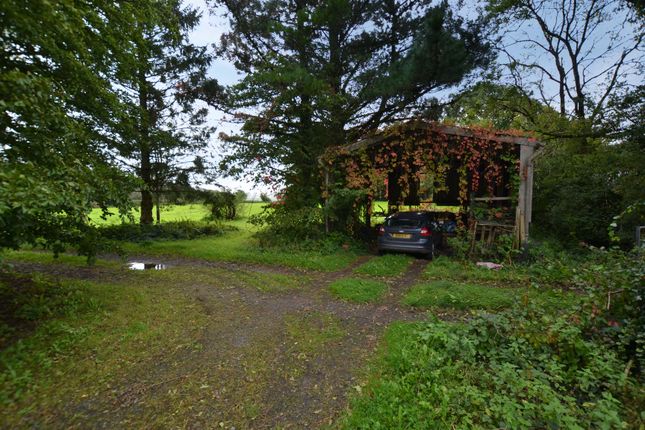 Detached bungalow for sale in Llangain, Carmarthen