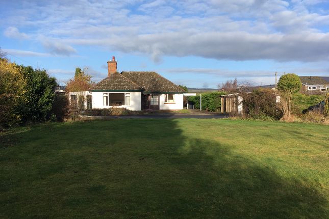 Bungalow to rent in Brecon Road, Hay-On-Wye, Hereford