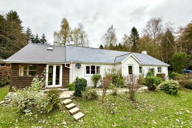 Gt2Z3Tvejewkarzvi0Gwrq 2.Jpg