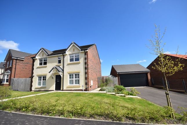 Thumbnail Detached house for sale in Carpenters Crescent, Swordy Park, Alnwick