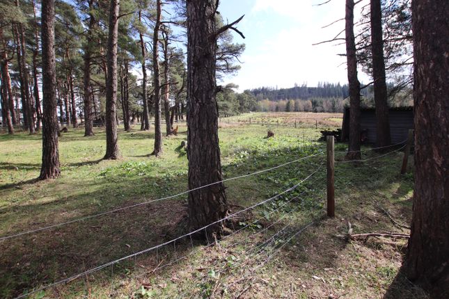 Land for sale in Mulben, Keith