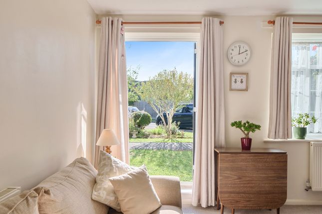 Freshmount Gardens, Epsom photo 4