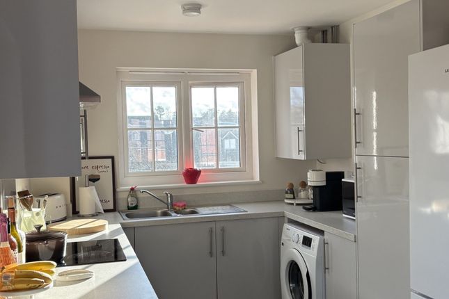 Sparrow Gardens, Liphook photo 3