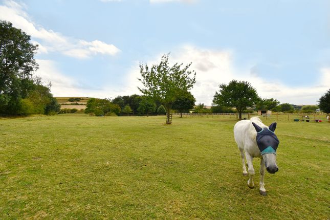 Equestrian property for sale in Rowgate Hill, Scamblesby, Louth