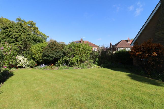 22, Church Lane, Hull photo 4